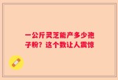 一公斤灵芝能产多少孢子粉？这个数让人震惊