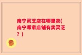 南宁灵芝店在哪里卖(南宁哪家店铺有卖灵芝？)