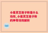 小度灵芝孢子粉是什么功效_小度灵芝孢子粉的神奇功效解析