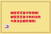 破壁灵芝孢子粉视频(破壁灵芝孢子粉的功效与用法全解析视频)
