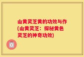 山黄灵芝黄的功效与作(山黄灵芝：探秘黄色灵芝的神奇功效)