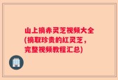 山上摘赤灵芝视频大全(摘取珍贵的红灵芝，完整视频教程汇总)