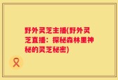野外灵芝主播(野外灵芝直播：探秘森林里神秘的灵芝秘密)