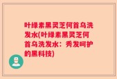 叶绿素黑灵芝何首乌洗发水(叶绿素黑灵芝何首乌洗发水：秀发呵护的黑科技)
