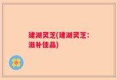 建湖灵芝(建湖灵芝：滋补佳品)