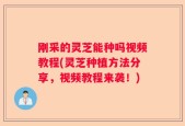 刚采的灵芝能种吗视频教程(灵芝种植方法分享，视频教程来袭！)