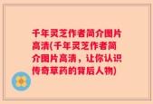 千年灵芝作者简介图片高清(千年灵芝作者简介图片高清，让你认识传奇草药的背后人物)