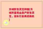 方城野生灵芝种植(方城开垦荒山高产野生灵芝，滋补行业再迎商机)