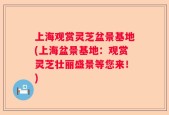 上海观赏灵芝盆景基地(上海盆景基地：观赏灵芝壮丽盛景等您来！)