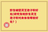 野生破壁灵芝孢子粉好处(研究发现野生灵芝孢子粉对身体有哪些好处？)
