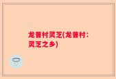 龙普村灵芝(龙普村：灵芝之乡)