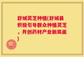 舒城灵芝种植(舒城县积极引导群众种植灵芝，开创药材产业新局面)