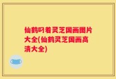 仙鹤叼着灵芝国画图片大全(仙鹤灵芝国画高清大全)