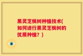 黑灵芝枫树种植技术(如何进行黑灵芝枫树的优质种植？)
