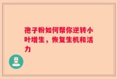孢子粉如何帮你逆转小叶增生，恢复生机和活力
