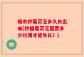 断木种黑灵芝多久长出来(种植黑灵芝需要多少时间才能生长？)