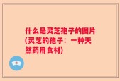 什么是灵芝孢子的图片(灵芝的孢子：一种天然药用食材)