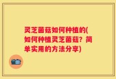 灵芝菌菇如何种植的(如何种植灵芝菌菇？简单实用的方法分享)