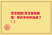 灵芝鹤壁(灵芝登陆鹤壁：草药中的珍品来了！)