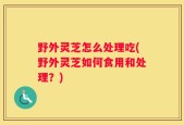 野外灵芝怎么处理吃(野外灵芝如何食用和处理？)