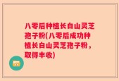 八零后种植长白山灵芝孢子粉(八零后成功种植长白山灵芝孢子粉，取得丰收)