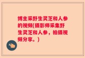 博主采野生灵芝和人参的视频(摄影师采集野生灵芝和人参，拍摄视频分享。)