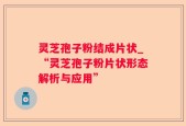 灵芝孢子粉结成片状_“灵芝孢子粉片状形态解析与应用”