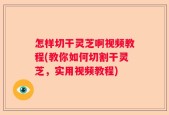 怎样切干灵芝啊视频教程(教你如何切割干灵芝，实用视频教程)