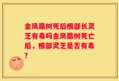 金凤凰树死后根部长灵芝有毒吗金凤凰树死亡后，根部灵芝是否有毒？