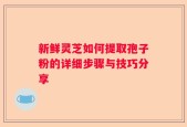 新鲜灵芝如何提取孢子粉的详细步骤与技巧分享