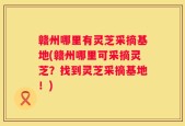 赣州哪里有灵芝采摘基地(赣州哪里可采摘灵芝？找到灵芝采摘基地！)