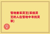 雪地里采灵芝(采摘灵芝的人在雪地中寻找灵草)