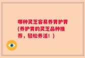 哪种灵芝容易养胃护胃(养护胃的灵芝品种推荐，轻松养活！)