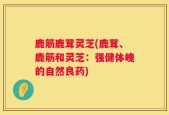 鹿筋鹿茸灵芝(鹿茸、鹿筋和灵芝：强健体魄的自然良药)