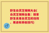 野生白灵芝视频大全(白灵芝视频合集：探索野生食用白灵芝的功效、用途和采收技巧)