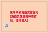 黑乎乎的海南灵芝图片(海南灵芝展现神奇疗效，惊艳世人)