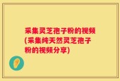采集灵芝孢子粉的视频(采集纯天然灵芝孢子粉的视频分享)