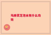 马蹄灵芝泡水有什么功效
