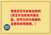 观赏灵芝可食用盆栽吗(灵芝不仅具有药用价值，还可以作为美丽的盆景和食用植物。)