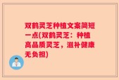 双鹤灵芝种植文案简短一点(双鹤灵芝：种植高品质灵芝，滋补健康无负担)