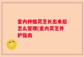室内种植灵芝长出来后怎么管理(室内灵芝养护指南