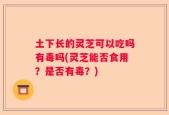 土下长的灵芝可以吃吗有毒吗(灵芝能否食用？是否有毒？)