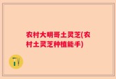 农村大明哥土灵芝(农村土灵芝种植能手)