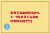 紫灵芝高山松茸有什么不一样(紫灵芝与高山松茸的不同之处)