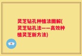 灵芝钻孔种植法图解(灵芝钻孔法——高效种植灵芝新方法)