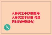 人参灵芝手抄报图片(人参灵芝手抄报 传统药材的神奇组合)