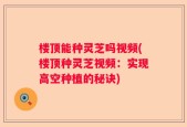 楼顶能种灵芝吗视频(楼顶种灵芝视频：实现高空种植的秘诀)