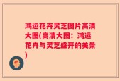 鸿运花卉灵芝图片高清大图(高清大图：鸿运花卉与灵芝盛开的美景)