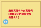 鹿角灵芝有什么寓意吗(鹿角灵芝的象征意义是什么？)