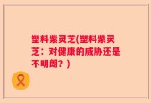 塑料紫灵芝(塑料紫灵芝：对健康的威胁还是不明朗？)
